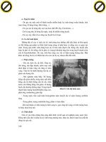 Giáo trình hướng dẫn cách sử dụng chất hóa học nhằm gây ức chế và phòng ngừa vi khuẩn phần 6 potx