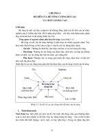 Tài liệu BÊ TÔNG CƯỜNG ĐỘ CAO VÀ CHẤT LƯỢNG CAO - Chương 5 doc