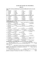 ĐỀ THI THỬ ĐẠI HỌC 2011( THAM KHẢO)- ĐỀ SỐ 1 pps