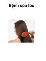 Bài giảng Bệnh của tóc
