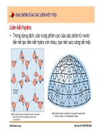 Di truyền học phân tử và tế bào : Liên kết hóa học của các đại phân tử sinh học part 5 doc