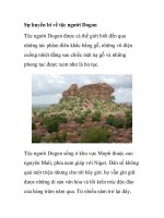 Sự huyền bí về tộc người Dogon pptx