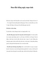 Đau đầu hằng ngày mạn tính pps