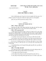 Luật số 04/2007 và luật thuế thu nhập cá nhân pptx