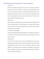 Quy trình thực hiện hợp đồng xuất khẩu gốm sứ tại Cty TOCONTAP - 3 potx