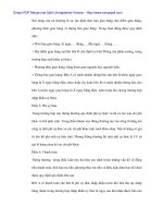 Nâng cao mô hình xuất nhập khẩu ủy thác - 5 docx