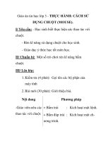 Giáo án tin học lớp 3 - THỰC HÀNH: CÁCH SỬ DỤNG CHUỘT (MOUSE). pps