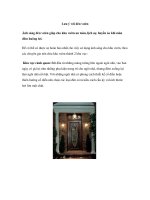 Lưu ý với đèn vườn potx