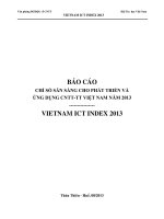 BÁO cáo CHỈ số sẵn SÀNG CHO PHÁT TRIỂN và ỨNG DỤNG CNTT TT VIỆT NAM năm 2013 VIETNAM ICT INDEX 2013