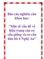 Báo cáo nghiên cứu khoa học: 