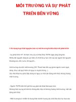 MÔI TRƯỜNG VÀ SỰ PHÁT TRIỂN BÊN VỮNG pps