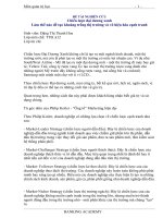 Chiến lược đại dương xanh - Làm thế nào để tạo khoảng trống thị trường và vô hiệu hóa cạnh tranh doc