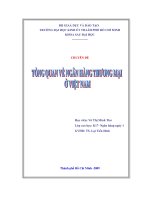 Đề tài về ngân hàng thương mại pot