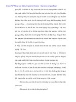 Quan hệ Thương mại Việt Mỹ và vấn đề xuất khẩu hàng Việt Nam sang Mỹ - 8 ppsx