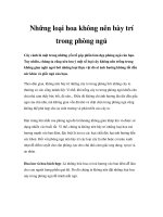 Những loại hoa không nên bày trí trong phòng ngủ pps