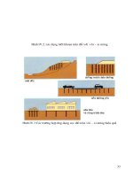 chuyên đề nền móng phần 4 pps