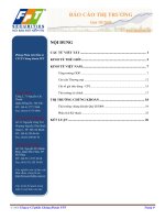 BÁO cáo THỊ TRƯỜNG quý III năm 2009 phòng phân tích đầu tư CTCP chứng khoán FPT