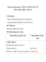 Giáo án tin học lớp 5 - BÀI 2: LUYỆN GÕ CÁC KÍ TỰ ĐẶC BIỆT (TIẾT 2) pdf