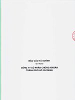 báo cáo tài chính quý 4 năm 2013 công ty cổ phần chứng khoán tp hồ chí minh