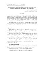 Báo cáo nghiên cứu khoa học: 