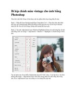 Bí kíp chỉnh màu vintage cho ảnh bằng Photoshop docx