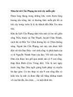 Mùa hè tới Cồn Phụng ăn trái cây miễn phí ppsx