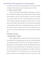 Bán hàng thương mại điện tử ở Việt Nam - 5 potx