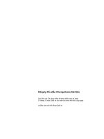 Công ty cổ phần chứng khoán sài gòn các báo cáo tài chính riêng đã được kiểm toán tại ngày 31 tháng 12 năm 2008 và cho năm tài chính kết thúc cùng ngày và báo cáo của hội đồng quản trị