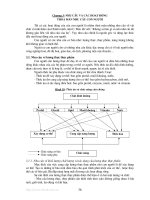 Môi trường và con người - Chương 3 pdf