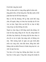 Cách khử váng dưa muối pptx