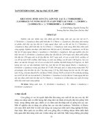 Báo cáo nghiên cứu khoa học: 