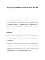 Protease và chất ức chế protease trong ung thư pdf