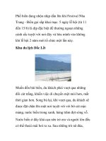 Phố biển đang nhộn nhịp dần lên khi Festival ppt