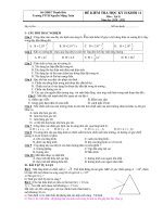 ĐỀ KIỂM TRA HỌC KỲ II KHỐI 11 Môn : Vật lí Năm học 2010 - 2011 docx