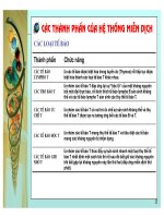 Điều hòa gene hệ miễn dịch ở động vật có xương sống part 3 ppsx