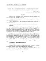 Báo cáo nghiên cứu khoa học: 