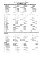 ĐỀ ÔN THI ĐẠI HỌC NĂM 2011 MÔN: TIẾNG ANH docx