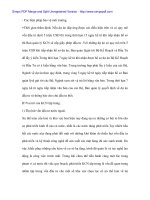 Thu hút FDI trong việc hình thành và phát triển các Khu công nghiệp ở Hưng Yên - 2 ppsx