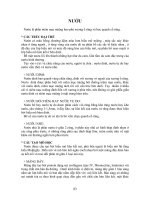 Giáo trình- Mô phôi răng miệng - phần 8 docx