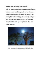 Khung cảnh tuyệt đẹp trên ppt