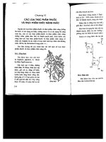 Các loại thực phẩm thuốc và thực phẩm chức năng ở Việt Nam part 8 ppt