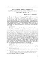 Báo cáo nghiên cứu khoa học: 