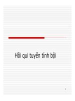 Bài giảng Kinh tế lượng  Chương 5: Hồi qui tuyến tính bội