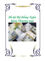 Đề tài Hệ thống Ngân hàng Thương mại potx