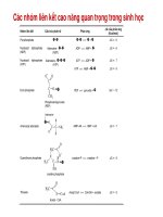 Di truyền học phân tử và tế bào : Liên kết hóa học của các đại phân tử sinh học part 7 potx