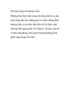 Sự sang trọng của phong cách pptx