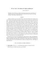 Báo cáo nghiên cứu khoa học: 