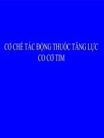 CƠ CHẾ TÁC ĐỘNG THUỐC TĂNG LỰC CO CƠ TIM ppsx