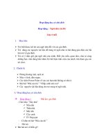 Hoạt động học có chủ đích Hoạt động : Ngôi nhà của Bé pdf