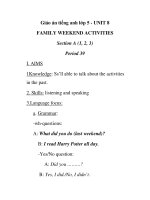 Giáo án tiếng anh lớp 5 - UNIT 8 FAMILY WEEKEND ACTIVITIES Section A (1, 2, 3) Period 39 ppt